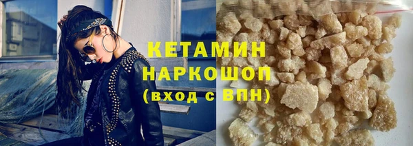 соль ск Новозыбков