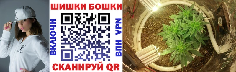 дарнет шоп  Ногинск  кракен маркетплейс  Шишки марихуана THC 21% 